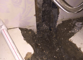 桥西卫生间测漏水哪家好